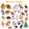 28 Foam Fridge Magnets for Toddlers Large Toddler Magnets Refrigerator Magnets for Kids Animal Magnets for Kids on Fridge