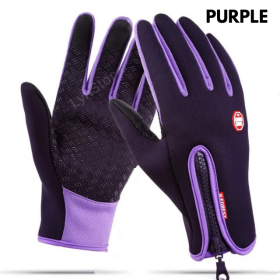 Winter Gloves Touch Screen Riding Motorcycle Sliding Waterproof Sports Gloves With Fleece (Option: Purple-XL)