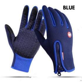 Winter Gloves Touch Screen Riding Motorcycle Sliding Waterproof Sports Gloves With Fleece (Option: Blue-L)